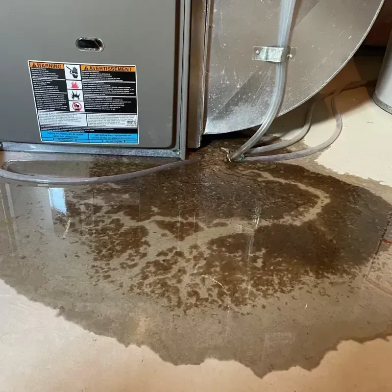 Appliance Leak Cleanup in Hartley County, TX